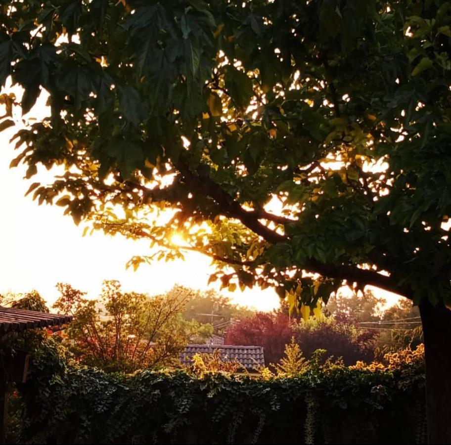 Anticacascina Bed and Breakfast Quarto  Buitenkant foto