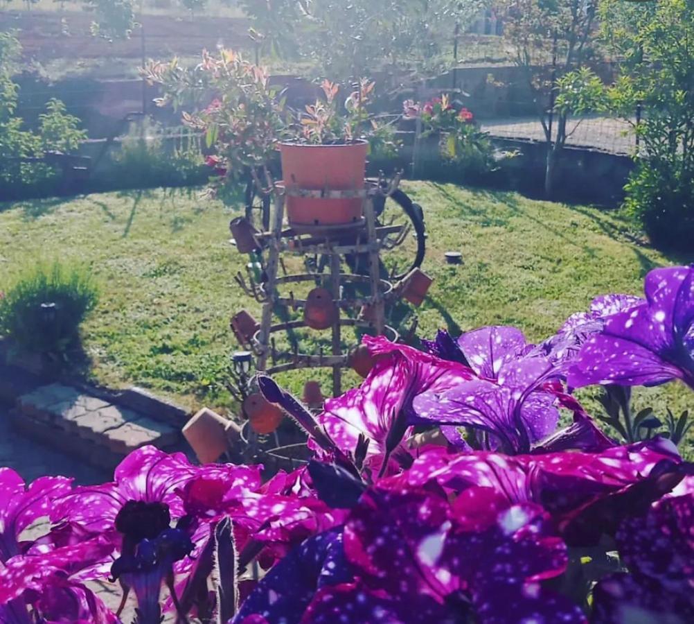 Anticacascina Bed and Breakfast Quarto  Buitenkant foto